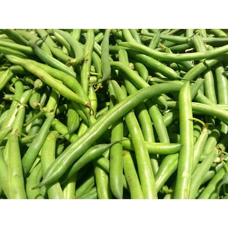 Commodity Canned Fruit & Vegetables Commodity Extra Standard 4 Sieve Green Beans #10 Can, PK6 9673201336